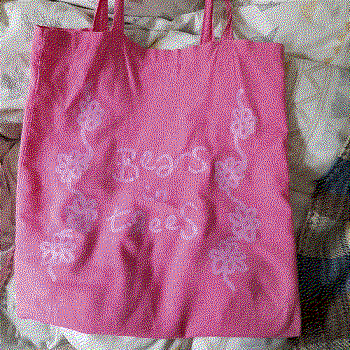 a pink tote bag with 'bears in trees' printed on it in a hand-written style. the print is in a lighter shade of pink and has a border of doodled flowers around the edge of the bag